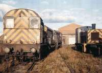 Shunters stand in the evening sun on the <I>ash heaps</I> at Gateshead shed on 1 November 1980. Picture shows 08274, 08058, 08053 and 03061.<br><br>[Colin Alexander 01/11/1980]