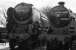 Merchant Navy class locomotive 35005 <I>Canadian Pacific</I> stands alongside BR standard class 5 73096, pictured on the Mid Hants Railway on 11 March 2008<br><br>[Peter Todd 11/03/2008]