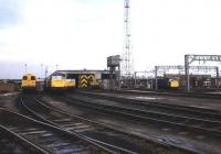 View over Bescot depot and part of the yard in 1981.<br><br>[Ian Dinmore //1981]