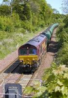 EWS 66161 coasts down to Dalgety Bay on 19 May with 6D71 Linkswood - Mossend empty tanks, not yet(?) diverted to run via Alloa.<br><br>[Bill Roberton 19/05/2008]