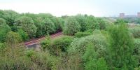 A view taken from the bing a short distance down the out of use branch from Jerviston Junction (New) to the former BSC Ravenscraig Number 3 Sidings. The works were on the skyline above the track and have been completely demolished as have the BSC Clydesdale works which were out of shot to the left. (Photograph taken to compare with that in RAIL 590 page 70 by C P Whitbread - although the view here continues to the right to show the still standing Dalzell Steelworks. Due to tree growth the angle is not quite the same and the railings on the bridge have been removed!) <br/><br/>The location is interesting as the bridge betrays that this was the site of a junction - the left side is a girder and the right masonary. The route to Ravenscraig is the newer one (originally slightly different alignment of junction serving Cleekhimin Colliery then closed then re-aligned and re-opened as an approach to Dalzell and Lanarkshire steelworks) and the lifted line which ran to the right was the original Wishaw and Coltness Railway alignment running south to Motherwell and beyond over a large and now demolished viaduct.<br><br>[Ewan Crawford 10/05/2008]