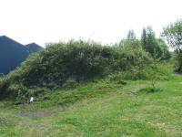 Looking east towards Elderslie West Junction on 14th May. This is the remains of embankment that ran down the hill from Elderslie West Junction to Cart Junction. To the left is the WH Malcolm Logistics depot in Linwood<br><br>[Graham Morgan 14/05/2008]