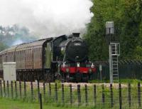 K4 61994 ran four special trips between Alloa and Stirling on 15th May 2008 to officially open the SAK. Here she is rounding the left hand curve between Cambus and Blackgrange on the 1330 service from Alloa.<br><br>[Brian Forbes 15/05/2008]