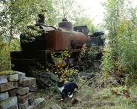 An ex-Granton Gas Works NG Barclay, at Eddleston station on the Peebles Line in August 1982. It was eventually sold on and restored. I think it went to the Isle of Man for a short time. Current location unknown, but perhaps a quarry museum in southern England. Absolutely no idea what happened to the cat.<br><br>[Peter Todd 11/08/1982]