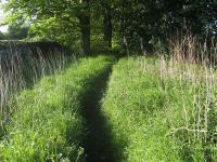 View south near Crossford on 20 May 2007 showing part of the trackbed of the original Elgin Railway from Knockhouse (or possibly Berry Law) to Limekilns (1774- c 1810). Note the embankment marking the route and its current use as a footpath. Out of sight beyond the wall on the left is the present day <I>Waggon Road</I> and the Dunfermline - Kincardine - Alloa railway line, which crosses <I>Waggon Road</I> just south of here.<br><br>[Mark Poustie 20/07/2007]