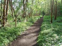 43 years after final closure in 1965 several wooden sleepers still sit in the ash ballast trackbed that is now a footpath from Killin to Loch Tay. View towards Killin at approx Map Ref NN 580343<br><br>[Mark Bartlett 29/05/2008]