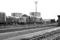 Class 37 no 6848 stands at Eastfield depot on an open day in Sepember 1972.<br><br>[John McIntyre 16/09/1972]