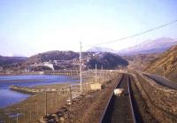 Sheep stop near Llandecwyn on the Cambrian Coast line in March 1986.<br><br>[Ian Dinmore 19/03/1986]