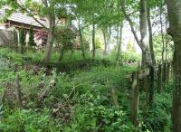 Site of the second Abbotsford Ferry station [see image 21994], closed in 1931. Remains include part of a wooden platform face and some railings. Photographed amongst the undergrowth on 18 May 2008, some 77 years after the station closed to passengers. View north east along the trackbed towards Galashiels.  <br><br>[John Furnevel 18/05/2008]