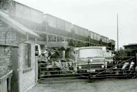 Coal drops in Bedale goods yard in May 1982. This was four days before closure of the public delivery sidings showing the fair amount of traffic still being carried at the time of closure. <br><br>[Mark Bartlett 27/05/1982]