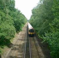 EMU North of Brockenhurst in the New Forest on the London - Dorchester line.<br><br>[Alistair MacKenzie 24/06/2008]