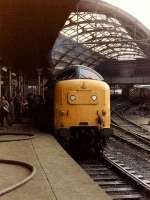 Deltic 55018 <I>Ballymoss</I> with the 1A39 Kings Cross relief service at Newcastle Central platform 10 on 4 July 1981.<br>
 <br><br>[Colin Alexander 04/07/1981]