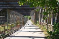 View across the former swing bridge in the old port area of Bristol that once carried both road and rail traffic - still showing rails in situ on the left, albeit last used in the mid 1990s.<br><br>[Peter Todd 19/06/2008]