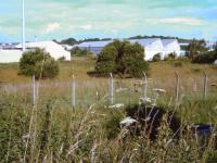 Site of the sidings that once served Mavor & Coulson, a company specialising in the development and manufacture of mining and tunnelling equipment. The works was at the end of a surviving section of the through route from East Kilbride to Hunthill Junction, Blantyre, which closed in 1937. This remaining link closed in 1966. <br><br>[Fraser Cochrane 02/07/2008]