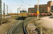 A loaded coal train about to leave Westoe Colliery, South Shields, for the River Tyne and Harton Low Staithe in the Summer of 1983 behind NCB No 11 (EE/Baguley 1795/3351 of 1951). The last operational pit on Tyneside, Westoe Colliery closed in 1993.<br><br>[Colin Alexander //1983]