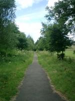 Blane Valley - Track looking E of Strathblane Station.<br><br>[Alistair MacKenzie 15/07/2008]