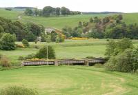 Another plate-girder bridge on the northern section of the Waverley route, this one south of Heriot. Photographed on 8 June 2008 looking east towards the A7.<br><br>[John Furnevel /06/2008]