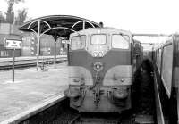 CIE 165 stands with a train at Mallow in 1988. Mallow is on the main line between Dublin and Cork and is the junction for the Tralee branch. Note the container base alongside the station.<br><br>[Bill Roberton //1988]