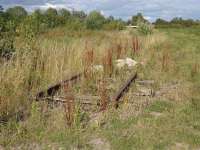 Trackbed running towards the site of the proposed new station at Mouldon Hill on the southern extension of the Swindon & Cricklade Railway.<br><br>[Peter Todd 20/07/2008]