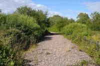 Plenty of ballast still apparent on the trackbed earmarked for the extension of the Swindon and Cricklade Railway and the creation of a new station at Mouldon Hill. Photographed on 20 July 2008. <br><br>[Peter Todd 20/07/2008]