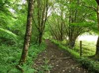 A view along the trackbed towards Loch Tay.<br><br>[John Gray 23/07/2008]