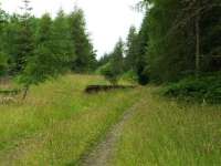 The overgrown island platform is all that remains of Killin Junction Station.<br><br>[John Gray 23/07/2008]