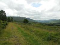 A view down Glen Dochart about a mile west of Killin junction. Trackbed leading to Luib on the left.<br><br>[John Gray 23/07/2008]