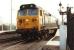 Green liveried 50007 <I>Sir Edward Elgar</I> (formerly <I>Hercules</I>) at St Erth on an up TPO on 1 May 1984.<br><br>[Colin Alexander 01/05/1984]