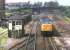 Peak Class 45 No. 45143 approaches Loughborough from the north on a St Pancras express in June 1981. Just above the roof of the signal box is an industrial class 08 shunter working in the aggregate sidings - the now preserved D3101 [Identity confirmed by Vic Smith - Ed]<br><br>[Mark Bartlett 15/06/1981]