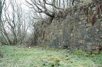 Just north of the Nethan Viaduct is this huge retaining wall for a short branch to the long closed Fence colliery running west from a north facing junction.<br><br>[Ewan Crawford 27/03/2005]