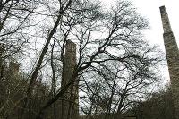 Looking west at the piers of the former Nethan Viaduct looking very like John Thomas description of relics of an ancient civilisation.<br><br>[Ewan Crawford 27/03/2005]