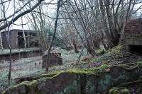 Looking south from the former building on the northbound platform of Tillietudlem station. The surviving building and platforms can be seen to the left and an old fireplace to the right.<br><br>[Ewan Crawford 27/03/2005]