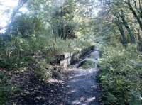 Platform remains at Coanwood in September 2003 looking south towards Lambley Viaduct. Opened in 1851 as Shaft Hill, the station closed along with the branch in 1976. The former station master's house still stands off to the right [see image 47662]. <br><br>[John Furnevel 22/09/2003]