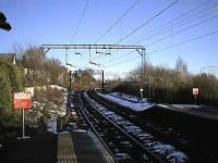 Looking east at Westerton.<br><br>[Garth Ponsonby //]