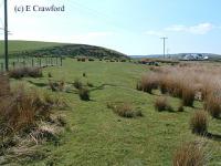 Woodend Level Crossing looking west before re-opening of the Greenburn Branch.<br><br>[Ewan Crawford //]