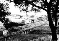 NBL 6133 with an eastbound freight on the E&G is passing the spur into Bishopbriggs Oil Terminal on a bright August evening in 1971. The freight has almost reached its destination at Cadder Yard. The locomotive was withdrawn from Eastfield shed at the end of that year.<br><br>[John Furnevel 17/08/1971]