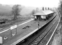 The Mad Woman of Rannoch. <br/> Wind and rain at Rannoch station in October 1999.<br><br>[John Furnevel 31/10/1999]