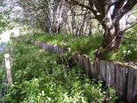 Remains of the wooden Aberfeldy branch platform at Ballinluig. May 2003.<br><br>[John Furnevel 19/05/2003]