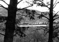 Heading north from Crianlarich - a class 26 takes an oil train over [one of] the viaduct[s] on 29 June 1971.<br><br>[John Furnevel 29/06/1971]