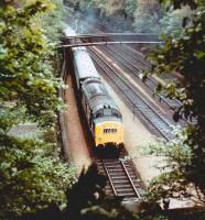 An EE type 3 locomotive on the east end of an Edinburgh - Glasgow shuttle passing through Princes Street gardens in September 1971. [See image 5567]<br><br>[John Furnevel 12/09/1971]