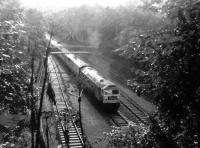 Rainy day in Princes Street Gardens in August 1969.<br><br>[John Furnevel 20/08/1969]