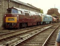 D1062 <I>Western Courier</I> together with D1013 <I>Western Ranger</I> at Bridgnorth in May 1981.<br><br>[Colin Alexander 16/05/1981]