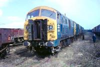 North British Class 22 D6330, with nose doors open, stands at the head of a line of sister NBL locos at Swindon. A handful of the class had just made it into 1972 but all the survivors had been withdrawn by the time this picture was taken and D6330 was cut up three months later in June 1972. [See image 19448] for a picture of D6319, the last survivor just before it was also cut up. <br><br>[Mark Bartlett 18/03/1972]