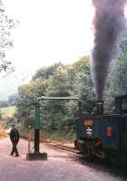 <I>...and you!</I> Scene at Aberffrwd on the Vale of Rheidol line in July 1970.<br><br>[Ian Dinmore /07/1970]