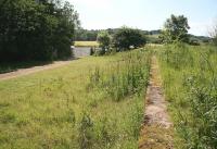 Remains of the goods yard and substantial goods platform at Jedfoot station on 1 July 2008, looking south over the A698 towards the terminus at Jedburgh. The decayed remains of the wooden passenger platform lie in the undergrowth off to the right [see image 63005].<br><br>[John Furnevel 01/07/2008]