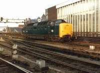 Deltic 55010 (minus nameplate on one side), alongside Newcastle Central station on 11 July 1981. <br><br>[Colin Alexander 11/07/1981]