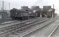 The east end of 65C Parkhead MPD looking towards the city centre circa 1962 with J36 0-6-0 65246 nearest the camera. Beyond the shed stood Parkhead North station (closed 1958) and, beyond that, the Parkhead Forge (final closure 1976). 65246 was also on shed together with another 45 steam locomotives during a recorded visit on Sunday 1 October 1961, with the predominant classes on that day being V1/V3, of which 18 were present. Parkhead shed closed in October 1965. [With thanks to Alasdair Taylor and John McIntyre.]   <br><br>[Robin Barbour Collection (Courtesy Bruce McCartney) //1962]