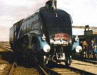 A4 Pacific 4498 <I>Sir Nigel Gresley</I> on display at an open day at Thornaby on 10 September 1972 sporting a <I>Waverley</I> headboard.<br><br>[John Alexander 10/9/1972]