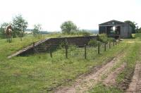 Remains of the goods yard at the south end of Nisbet station on 1 July 2008, complete with fine looking white horse on the left. View is towards Jedburgh.<br><br>[John Furnevel 01/07/2008]