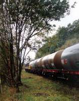 One evening in 1990 a 37 drops off an empty oil train from Oban in the sidings at Arrochar and Tarbet before returning to Oban light engine.<br><br>[Ewan Crawford //1990]